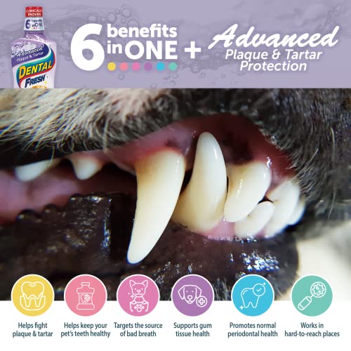 שיניים טריים טריים מתקדמים ומוספי מים בטרטר, 32oz - פורמולה לניקוי שיני כלבים כדי לרענן נשימה ולשפר את בריאות הפה