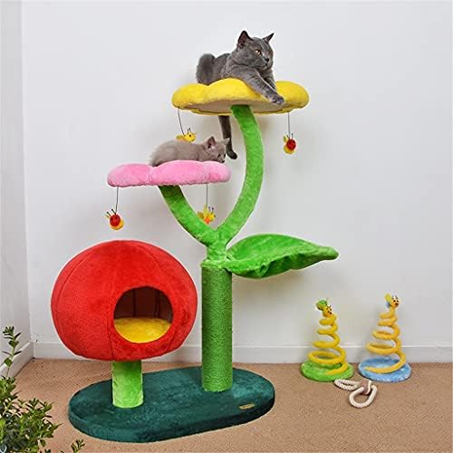חתולי פטריות גרטים קן קן פרחים חתולים מטפסים מסגרת חתולים