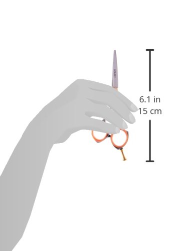 מגזרת גזירה חיתוך מקצועית ישיר עם ידית מתכווננת, 5.5 אינץ ', 3 אונקיה