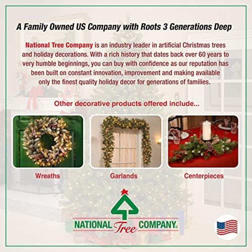 חברת העצים הלאומית מוארת מראש, זר חג המולד, ירוק, אורן קרולינה, אורות לבנים, מעוטרים בקונוסים
