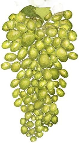 שמן זרעי ענבים-גלון הטוב ביותר של הטבע טהור לעיסוי וגוף