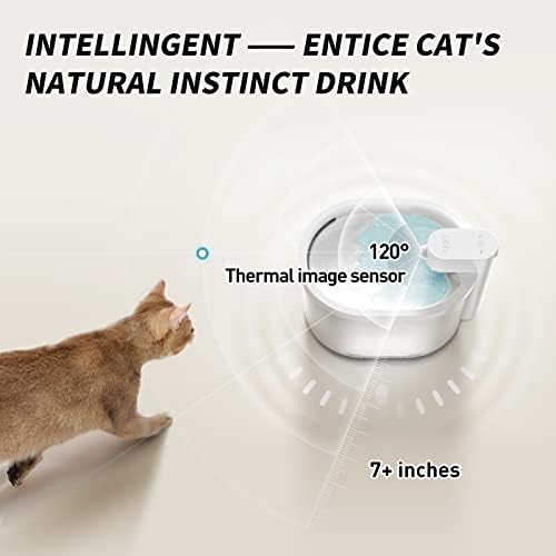 סוללה מופעל חתול מזרקת מים + טבעי נוצת חתול צעצועים לחתולים מקורה