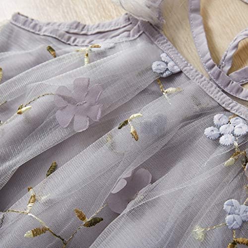 שמלת זבוב טוטו שרוול נסיכה פרחוני תחרה רקמה רקמה תינוקות פעוטות בנות שמלות קצרות