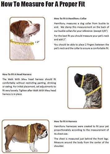 המילטון מתכוונן צווארון כלבים ניילון, סגול, 1 x 18-26