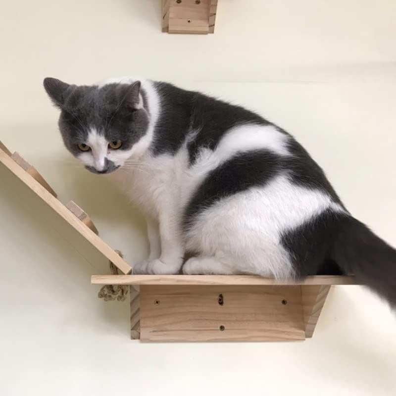 חתול עץ חתול טיפוס מסגרת לוח עץ חתול קפיצות פלטפורמה לחיות מחמד ריהוט חתלתול מקפצה קיר רכוב חתול צעצוע