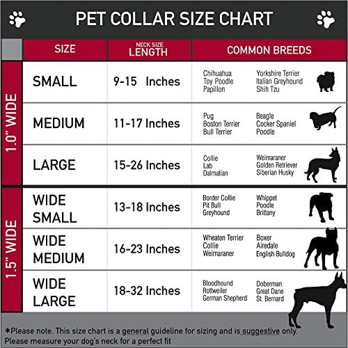 אבזם מפזרים סופגניות צווארון כלבים מרטינגייל, שחור/צבעוני, 1 מתאים לרווחה 9-15 צוואר-צוואר