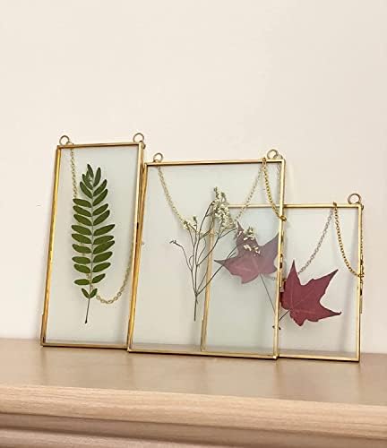 מסגרת זכוכית כפולה לפרחים לחוצים, עלים ויצירות אמנות - סט של 3 מסגרות תמונה תלויות, 6x6, 6x8, 4x9 מסגרות