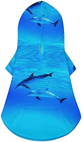 דולפין בכלב ים כחול עמוק תלבושות חתול