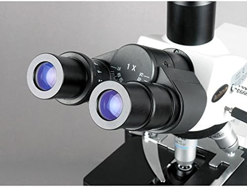 AMSCOPE T690C מיקרוסקופ תרכובת טרינוקולרית, הגדלה של 40X-2500X, WH10X ו- WH25X עיניות סופר-שדה-שדה,