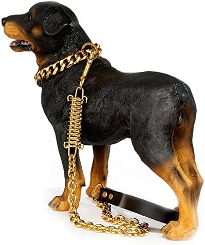 רצועת שרשרת כלבים זהב, רצועת רצועה של 14 ממ כבדה כבדה של נירוסטה לחיזה רצועה מחמד עם מאמץ נמוך