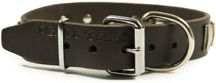 דין וטיילר אש כסף, צווארון כלבי עור 2011 עם צלחות ניקל חזקות-חום-גודל 24 אינץ