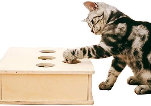 Manfer חברים לנצח חתול צעצוע אינטראקטיבי לחתולים אימוני תפיסה אוטומטיים
