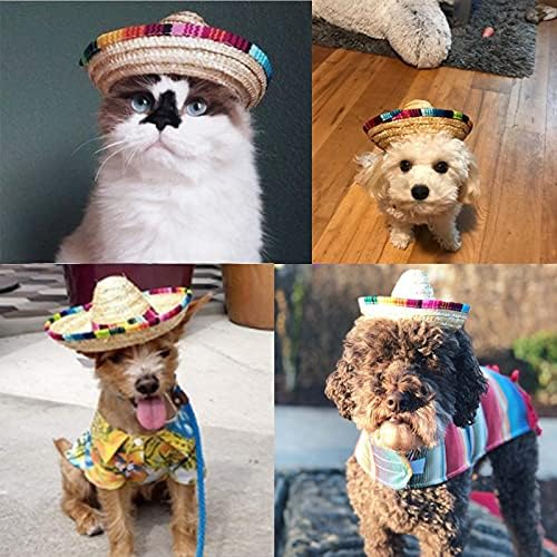 כובע קש מצחיק מקסיקני סומבררו כובע מסיבת קישוטי עבור יום הולדת עבור חיות מחמד קטנות / גור/חתול