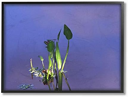 צמח תעשיות סטופל המופיע מצילום כחול ירוק מים, עיצוב מאת דייוויד שטרן קיר אמנות, 24X30, בד