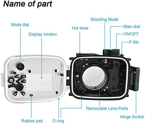 ניתן להשתמש בצפרדעי ים עבור Canon EOS M6 עם עדשה 22 ממ 130ft/40 מ 'צפרדעים ים מצלמה מתחת למים מארז אטום למים