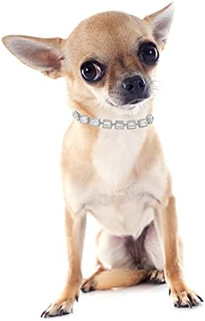 צווארוני כלבים לכלבים בינוניים קטנים צווארוני שרשרת כלבים קרובים טניס 5A צווארון זירוניה מעוקב לצווארון גורי
