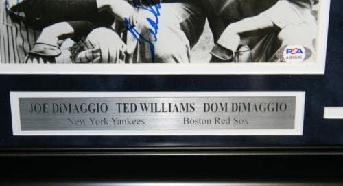 JOE DIMAGGIO TED WILLIAMS DOM DIMAGGIO חתימה 8x10 Photo Framed PSA/DNA - תמונות MLB עם חתימה