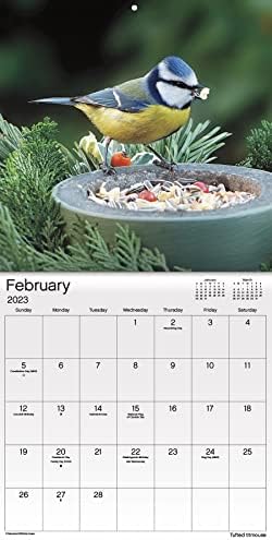 לוח השנה של ציפורים 2023 - Deluxe 2023 ציפורים בחצר האחורית צרור לוח השנה של קיר עם למעלה ממאה מדבקות לוח