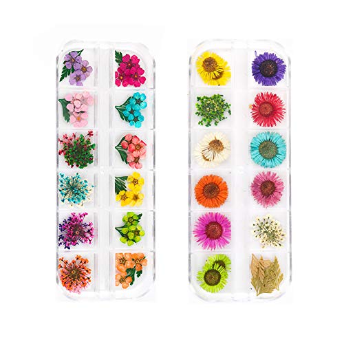 אספקת קישוט עיצוב אמנות ציפורן פרחים מיובשים אורומין פרחים טבעיים אמיתיים קישוט אמנות ציפורן מניקור 2 קופסות