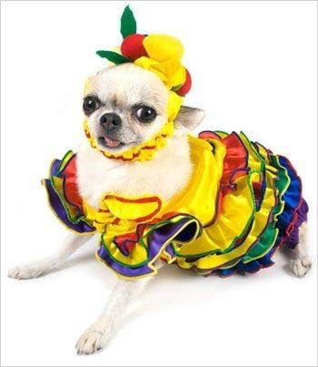 תחפושת לכלב אהבה של PUPPE - קליפסו מלכה תלבושות כלבי שמלת קרנבל צבעונית