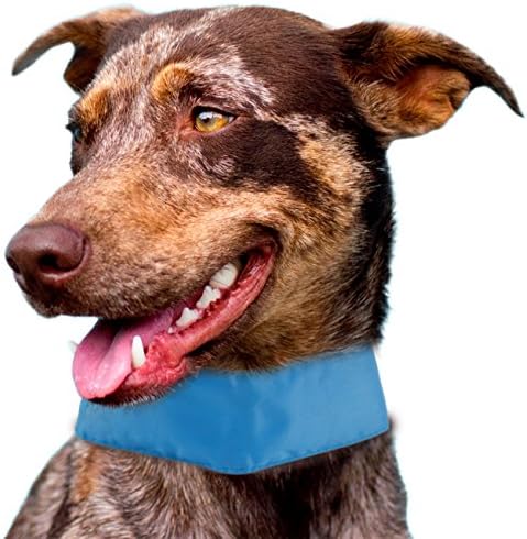 חיי חיית מחמד 'מקיר קיץ' קרח הניתן לניתוח וצוואר מתכוונן בטיחות אריזת קרח אריזת צוואר כלב, גודל אחד, כחול