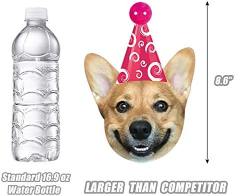 סילבימה כלבים יום הולדת זר, מצחיק קורגי פנים דיוקן יום הולדת באנר, כלב יום הולדת גבתון קישוט