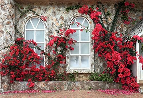 12 על 8 רגל רומנטי אדום פריחת רקע איטליה סגנון חלונות בית אבן קיר ירוק גפן צילום רקע זוגות אישה חתונה טקס