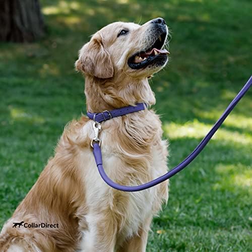 צווארון כלבי עור מגולגל ורצועה - צרור לגודל XL XL 6ft כלב, ילדה או גור - 19-21 אינץ