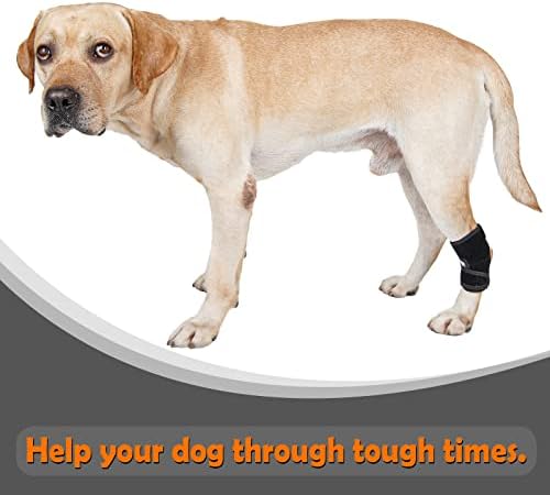סד מפרק המפרק של יכירובי כלב, תמיכה ברגל אחורית של כלבים לפרק פרקים, דחיסת רגל אחורית לכלבים לכלבים זקנים,