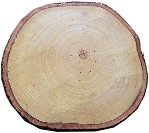 תמרהינדי תאילנדי גודל 8 -9 עץ פרוסות לסידורים-גזע עץ פרוסה-טבעי עובי 1