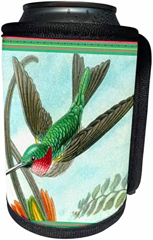 3drose Ruby Thropedbird בציפור בצירה בצבע צבעוני. - יכול לעטוף בקבוקים קירור יותר
