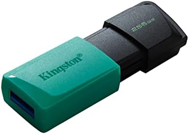 קינגסטון אקסודיה M 64B כונן הבזק USB