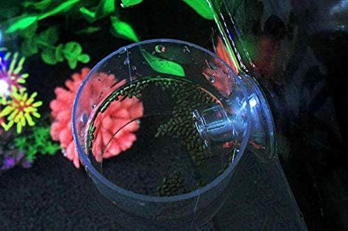 דגי מזין אקריליק אקווריום דגי טנק מתכוונן מעגל טבעת דגי האכלה צף מזון צלחת מזון הגנת כיסוי מגש מזין