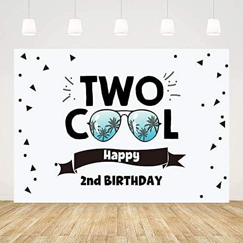 מהופונד שני משקפי שמש מגניבים רקע נושא שמח 2 מסיבת יום הולדת קישוט רקע צילום באנר לשולחן עוגה אבזרי סטודיו
