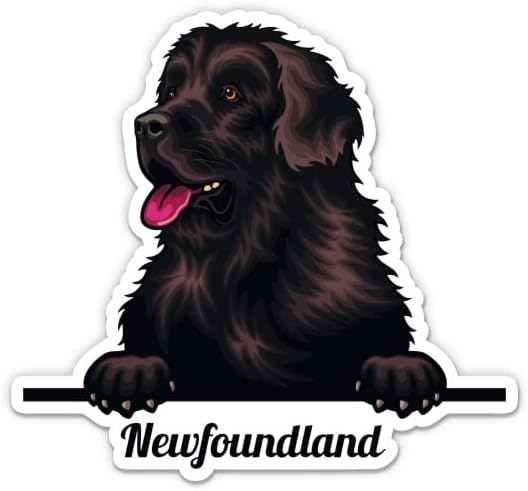 מדבקת כלבים של ניופאונדלנד - מדבקת מחשב נייד 3 אינץ ' - ויניל אטום למים לרכב, טלפון, בקבוק מים - מדבקות ניופאונדלנד