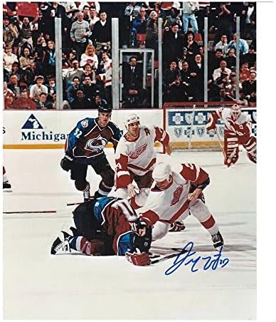 דארן מקארטי חתמה על דטרויט כנפיים אדומות 8x10 צילום קרב - 70373B - תמונות NHL עם חתימה
