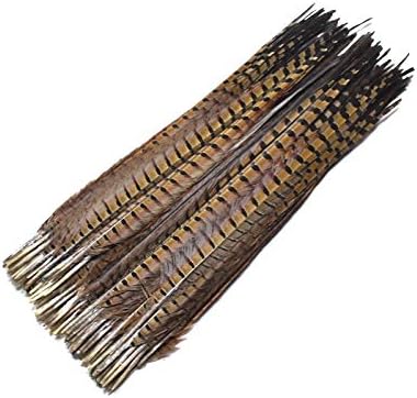 25-70 סמ 10-28 טבעי פסיון נוצות עבור מלאכות שיער הארכת סידורי קישוט נוצות הודי כיסוי ראש-10 יחידות-זמיחלהא