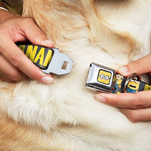 צווארון כלב אבזם חגורת בטיחות 4 מיניונים BA BA BA בננה אפור צהוב 16 עד 23 אינץ 'ברוחב 1.5 אינץ'