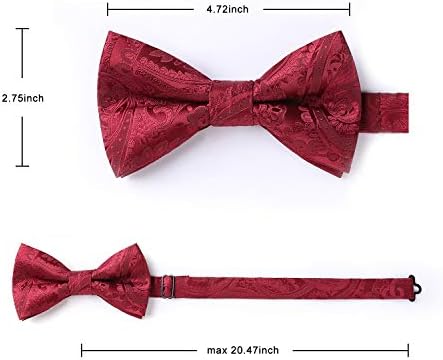 עניבות פרפר לגברים עניבת פרפר מראש קשור פייזלי עניבת פרפר כיס כיכר סט גברים של עניבות פרפר