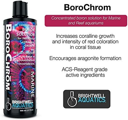 Brightwell Aquatics Borochrom - תמיסת בורון מרוכזת לגידול קורליני וצבע אדום