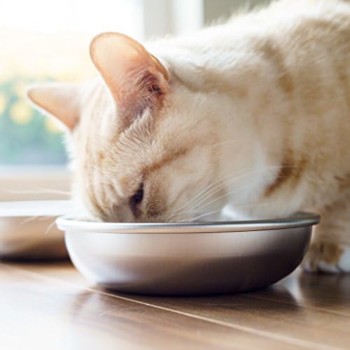 קערות חתול מנירוסטה למזון ומים מאת אמריקאט-תוצרת ארצות הברית-כלים בטוחים למדיח כלים, כיתה אנושית, מנות ידידותיות