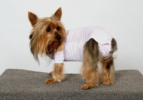 חולצת הכלבים של הכלבים, זכר, X-SMALL