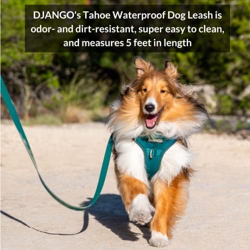 רצועת כלבים אטומה למים של Django Tahoe-רצועה עמידה, נוחה וקלה לניקוי מים עם קליפ רצועה של קרבינר נעילה פרמיום