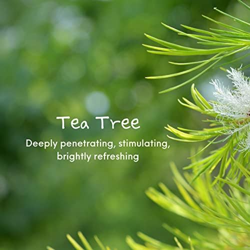 שמן אתרי עץ תה רול-און-10 מיליליטר- טבעי, שמן כיתה טיפולית פרמיה לטיפול בעור, ציפורניים וצמיחת שיער