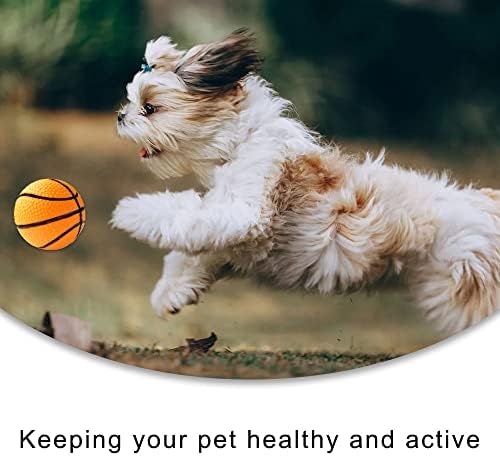 WONDMAIDANGGX צועק צעצוע כדורסל כדורסל צורה כלב לעיסה צעצוע לעיסה רכה לכדור קול לכלבים קטנים גורים