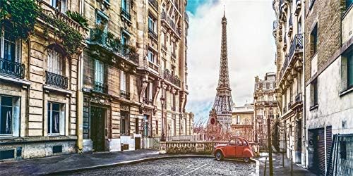 12 על 6 רגל אייפל מגדל רקע לצילום רומנטי צרפת פריז ישן רטרו אירופה סמטת רקע ילדים למבוגרים תא צילום לירות ויניל