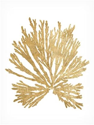 סימן מסחרי אמנות 'פסיפיק ים מוסוס II Gold' אמנות על ידי תיק תפוחים פראי