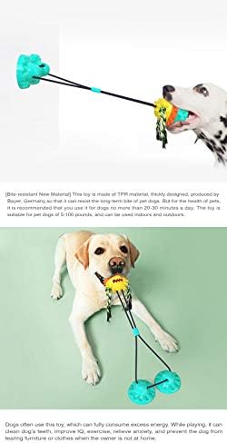 יצירת כלבים ללעוס כוס יניקה משיכה של צעצוע מלחמה, ריבוי תפקוד לחבלים אינטראקטיביים חבל מברשת שיניים מברשת שיניים