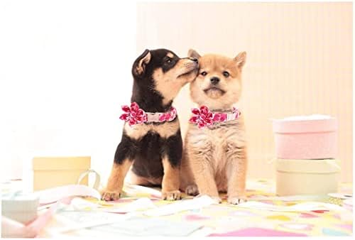 HFDGDFK Valentines צווארון כלב לב ורוד עם צווארון כלב פרחי עניבת פרפר לכלב קטן בינוני קטן