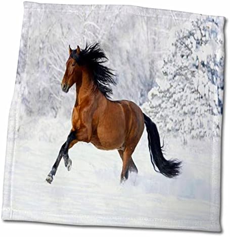 חיות פלורן 3 דרוז - תמונה של סוס אנדלוסיה דוהרת בשלג - מגבות
